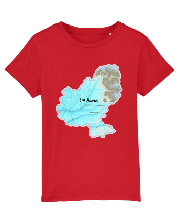 Mureș County Map Red