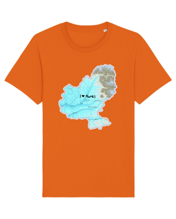 Mureș County Map Bright Orange