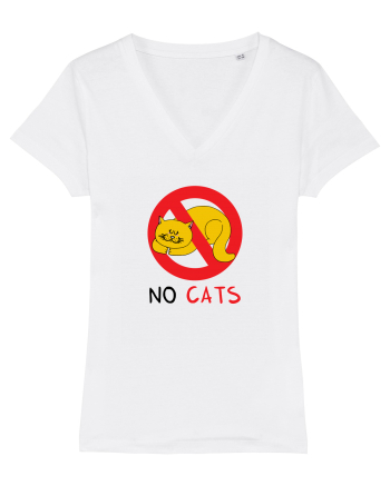 No cats White
