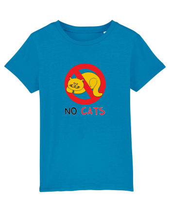 No cats Azur