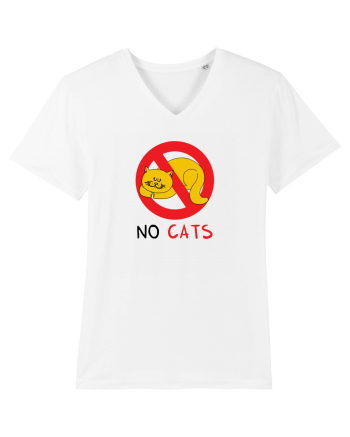 No cats White