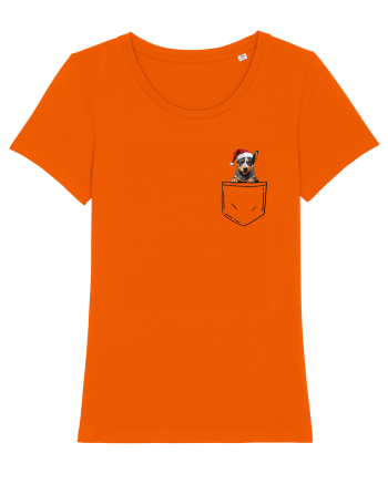 de Crăciun cu cățel in buzunar - Australian Cattle Bright Orange