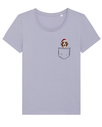 de Crăciun cu cățel in buzunar - Beagle Lavender