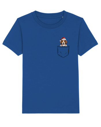 de Crăciun cu cățel in buzunar - Beagle Majorelle Blue