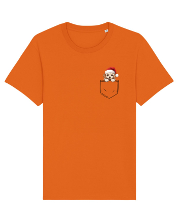 de Crăciun cu cățel in buzunar - Bichon Frise Bright Orange