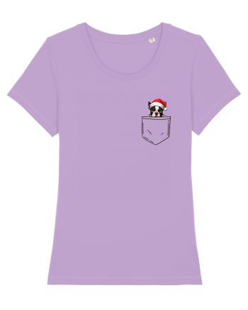 de Crăciun cu cățel in buzunar - Boston Terrier Lavender Dawn