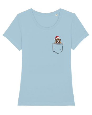 de Crăciun cu cățel in buzunar - Boxer Sky Blue