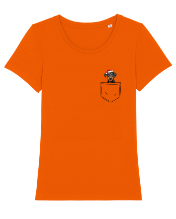de Crăciun cu cățel in buzunar - Doberman Pinscher Bright Orange