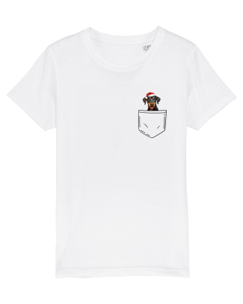 de Crăciun cu cățel in buzunar - Doberman Pinscher White