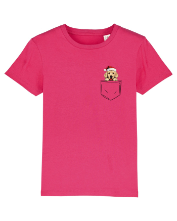 de Crăciun cu cățel in buzunar - Golden Retriever Raspberry