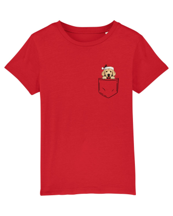 de Crăciun cu cățel in buzunar - Golden Retriever Red