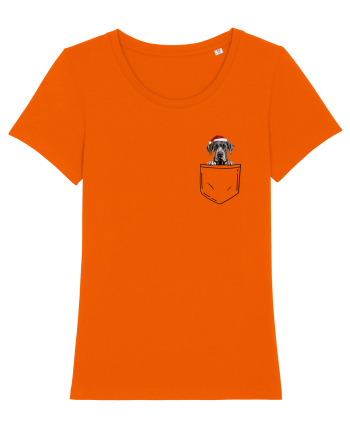 de Crăciun cu cățel in buzunar - Marele danez Bright Orange