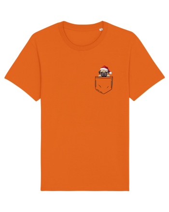 de Crăciun cu cățel in buzunar - Pug Bright Orange