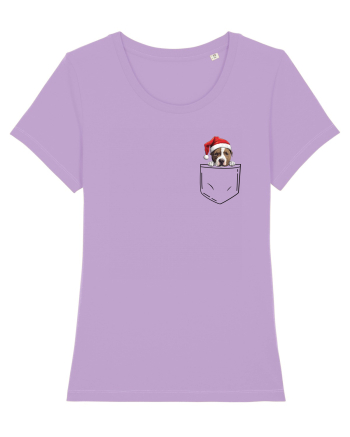 de Crăciun cu cățel in buzunar - Staffordshire Terrier Lavender Dawn