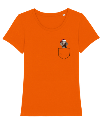 de Crăciun cu cățel in buzunar - Weimaraner Bright Orange