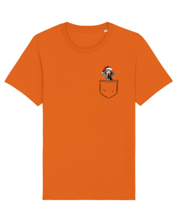 de Crăciun cu cățel in buzunar - Weimaraner Bright Orange