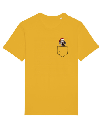 de Crăciun cu cățel in buzunar - Weimaraner Spectra Yellow