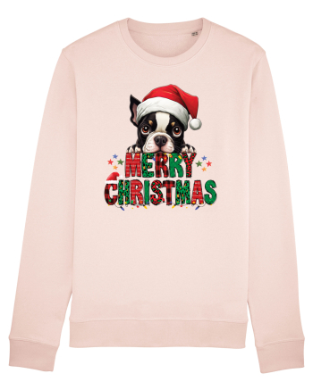 cu urări de Crăciun si cățel Boston Terrier Candy Pink