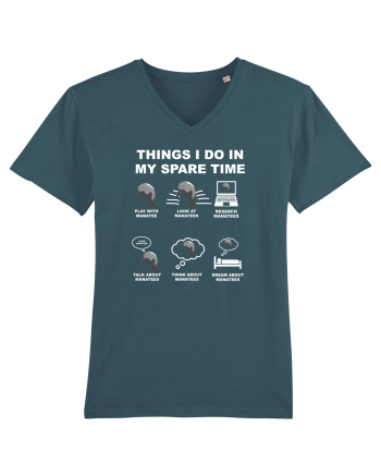 MANATEE Stargazer