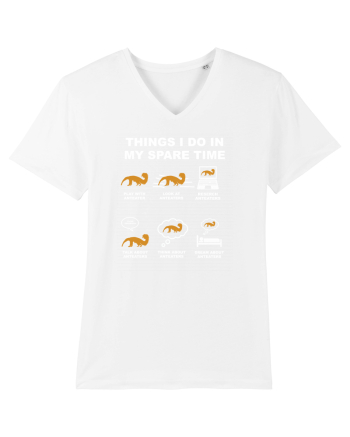 ANTEATER White