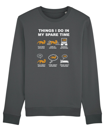 ANTEATER Anthracite