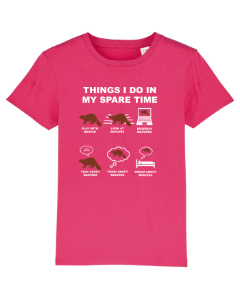 BEAVER Raspberry