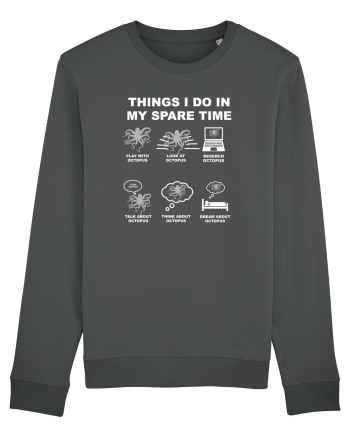 OCTOPUS Anthracite