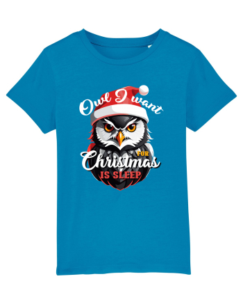 Owl I want for Christmas is sleep Azur