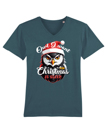 Owl I want for Christmas is sleep Stargazer