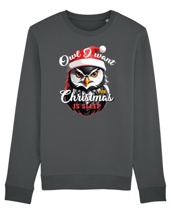 Owl I want for Christmas is sleep Anthracite