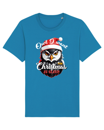 Owl I want for Christmas is sleep Azur