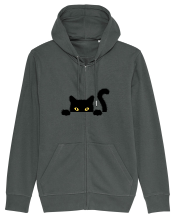 Cat spionage Anthracite