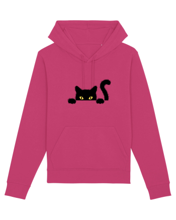 Cat spionage Raspberry