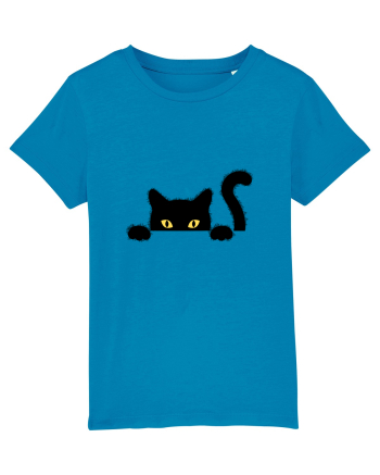 Cat spionage Azur