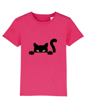 Cat spionage Raspberry