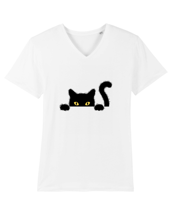 Cat spionage White