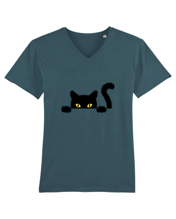 Cat spionage Stargazer