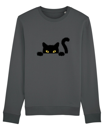 Cat spionage Anthracite