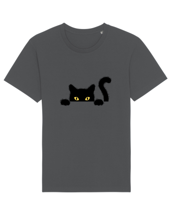 Cat spionage Anthracite