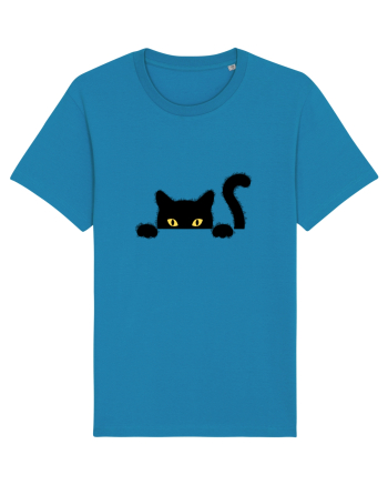 Cat spionage Azur