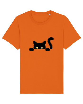 Cat spionage Bright Orange