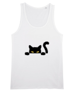 Cat spionage Maiou Bărbat Runs