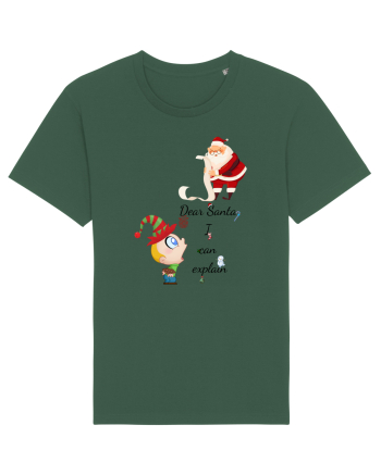 Explain to Santa Bottle Green