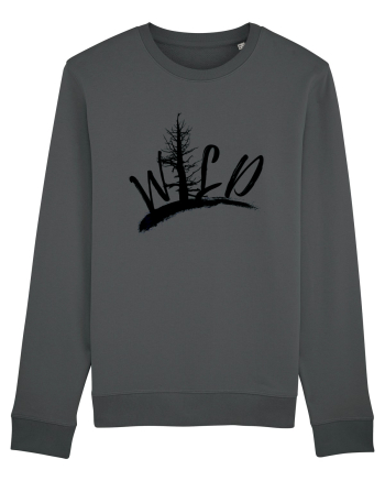 Wild  Anthracite