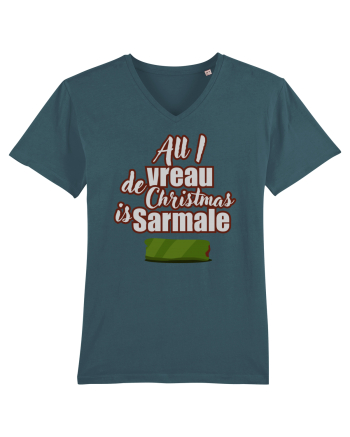 All i vreau de christmas is sarmale Stargazer