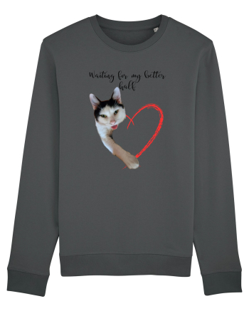 Pisi love Anthracite
