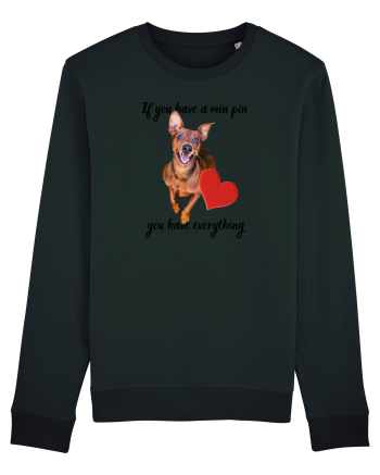 Pinscher love Black
