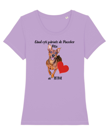 Iubitor de animale Pinscher Pitic Lavender Dawn