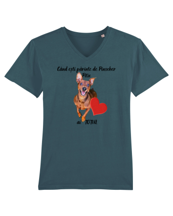 Iubitor de animale Pinscher Pitic Stargazer