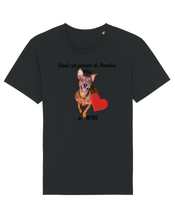Iubitor de animale Pinscher Pitic Black